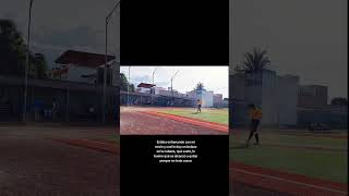 ityonline softbol beisbolista LMB softball MLB beisbol foryou baseball ity lms [upl. by Janella]