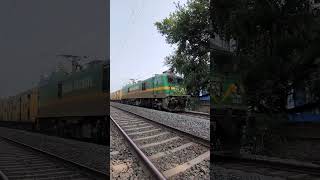 Indian railway Malda medical College road railway reels train shorts malda trainjourney rail [upl. by Yllil]