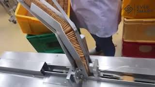 Biscuit Packaging Machine  Flow Wrapper [upl. by Aimek]