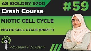 Mitotic Cell Cycle Part 1  Mitotic Cell Cycle  9700 AS Biology UrduHindi [upl. by Annaira]