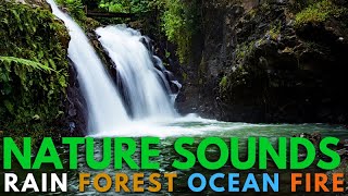 Relaxing Music with Nature Sounds Rain Forest Ocean Fireplace [upl. by Ruamaj]