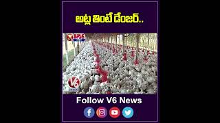 Antimicrobial Resistance Genes Detected in Poultry from Kerala and Telangana  V6 Shorts [upl. by Atelra762]