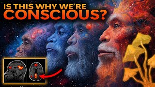 From Eden to Eleusis The Stoned Ape Theory in Light of New Evidence [upl. by Zosema775]