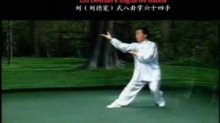 Liu Style Baguazhang  64 Hands 刘氏八卦掌  六十四手 [upl. by Tloc485]