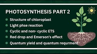 Photosynthesis Part 2 I Life Process I Nutrition In Plants I Biology [upl. by Catlaina]