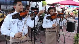 Mariachi Trompetas De Mexico de Sergio Hernandez [upl. by Donoho]