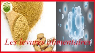 Les levures alimentaires l’importance du bon choix [upl. by Blunt276]