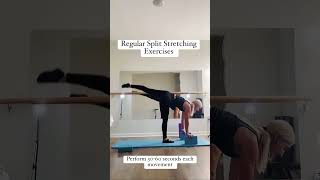 Regular Stretching Exercises To Get Front Splits [upl. by Aem561]