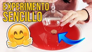 EL INCREÍBLE EXPERIMENTO SENCILLO QUE PUEDES HACER EN CASA [upl. by Lysander833]