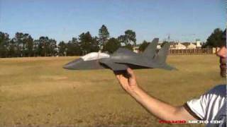 F15 Nano EDF jet first flight Steve Shumate design [upl. by Vinnie]