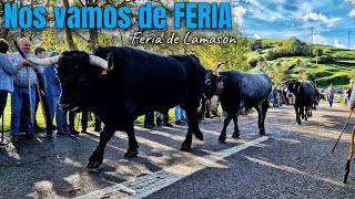 Feria de LAMASON 2024 [upl. by Ayar]