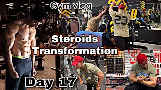 Day 17 Steroids transformation  Birthday challenge  back and biceps workout vlog [upl. by Burck492]