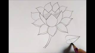 How to drawing water lily easy drawing by water lily art beautiful pictures to drawing water lily [upl. by Akcirderf]