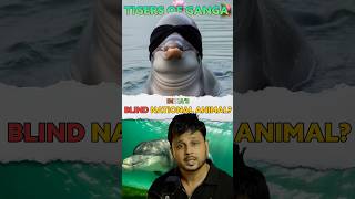 😨How Dolphin 🐬 saves Ganga 🏞️River🤔 [upl. by Nihahs]