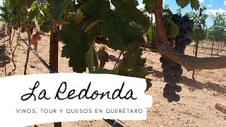 La Redonda Querétaro Precios paseo por los viñedos degustación de vinos tour vendimia y más [upl. by Kilah]