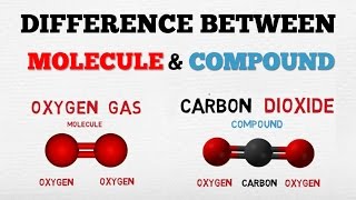 DIFFERENCE BETWEEN A MOLECULE amp A COMPOUND   AboodyTV   Chemistry [upl. by Razal]