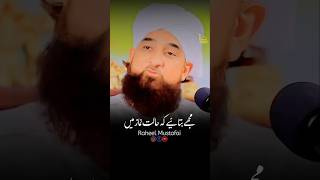 Namaz Mein Sahaba Huzoor Ko Dekhte  Raza Saqib Mustafai Status  shorts [upl. by Camille781]