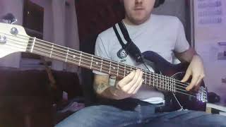 Sledgehammer  Peter Gabriel Bass Cover [upl. by Barnum168]