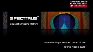 OCT Angiography Understanding the Structural Detail of the Retinal Vasculature [upl. by Kessiah917]