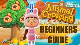 The Ultimate Beginners Guide  Animal Crossing New Horizons Tips amp Tricks [upl. by Berneta]