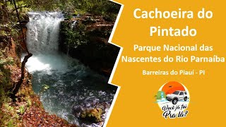 Como conhecer o Parque Nacional das Nascentes do Rio Parnaíba  Cachoeira do Pintado 097 [upl. by Sinylg488]