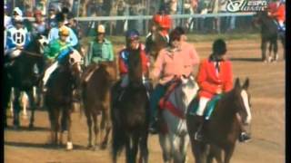 1978 Kentucky Derby  Affirmed vs Alydar [upl. by Iohk441]