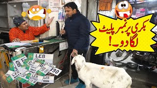 Tasleem Abbas and Soni Best Comedy Show  Bakri Par Number plate Laga Do [upl. by Eilssel]