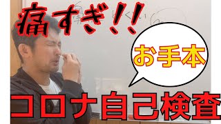 【痛すぎ】新型コロナの検査キットの使い方を実演！痛すぎて不整脈発作を起こしてます pcr 抗原検査 鼻綿棒 [upl. by Laural836]