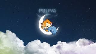 Puleva Peques Buenas Noches [upl. by Erdnoed622]