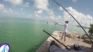 Florida Keys Fishing Islamorada And Snook Site Seeing [upl. by Aniratac650]