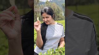 උඩරට නිළිය♥️  udarata niliya Sinhala Songs  relaxing music music cover [upl. by Eciryt478]