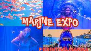 Perinthalmanna Marine Expo 2024🧜‍♀️🧞‍♀️🐟🐠🦭 [upl. by Ffilc]