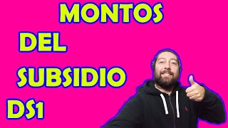 😎 Cómo calcular los montos del subsidio DS1 Clase Media para cada tramo 😎 [upl. by Laicram277]