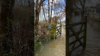 Thames flood CookhamBourne End 6 Jan 2024 [upl. by Aicatsue]