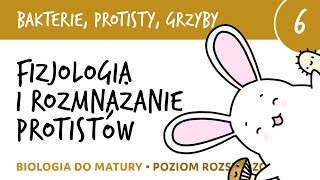 Fizjologia i rozmnażanie protistów koniugacja osmoregulacja  biologia do matury liceum [upl. by Doralia]