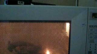 Microwave magnetron burning out [upl. by Lananna]