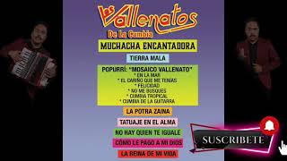 Muchacha Encantadora  Los Vallenatos de la Cumbia [upl. by Yleak]