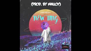 DBS Sean “New Ting” Official Audio Prod By Malloy [upl. by Aihsatal]