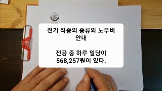 전기 직종 구분과 노임 단가 안내 [upl. by Nhguavaj275]