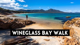 WINEGLASS BAY WALK  Tiger Snakes and Beautiful Beaches in Tasmanias Freycinet National Park [upl. by Zamir]