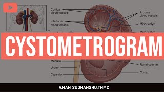 CYSTOMETROGRAM  RENAL PHYSIOLOGY  GK PAL  MUHS  AMAN SUDHANSHU  TNMC [upl. by Selrhc767]