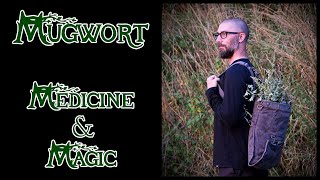 Mugwort  Medicine amp Magic [upl. by Pietro]