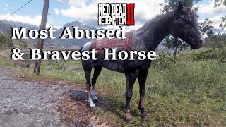 Scarred Black Rabicano  Unique Horse in Red Dead Redemption 2 [upl. by Katti]