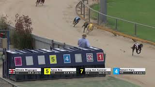 Gawler13122023Race1 [upl. by Rednal359]