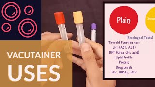 Blood Collection Vacutainer  Uses  Ateev Chandna [upl. by Un]