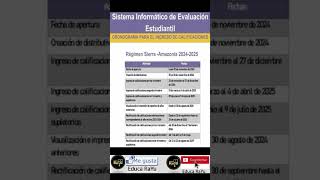 Sistema Informático de Evaluación Estudiantil del Mineduc [upl. by Akcimehs]