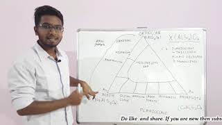 Feldspar group  Mineralogy  for NETCSIR  SET  GATE  JAM Geology [upl. by Tidwell]