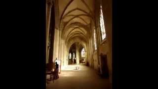 Notre Dame cathedral Saint Lo France [upl. by Hara]