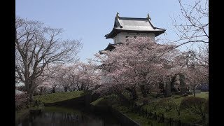 平成31年度（令和元年度）北海道松前町桜祭り [upl. by Mahtal]