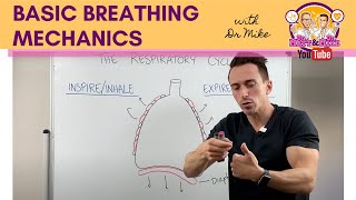 Basic Breathing Mechanics [upl. by Swihart]